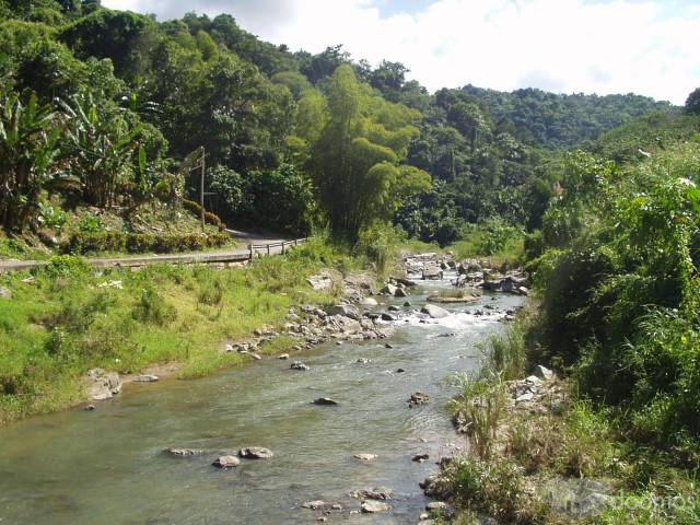 Propiedades Comerciales En Venta Utuado Puerto Rico Corredor - 5