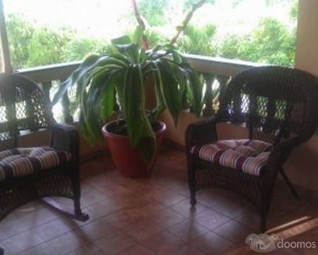 Casa Aceituna - 8